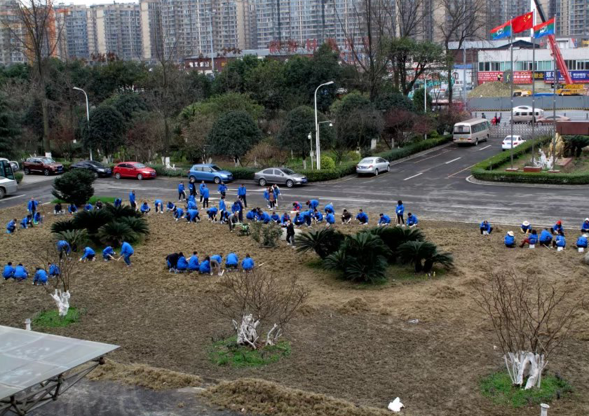 星空体育app登录,星空体育大家庭齐心协力清除旧草皮